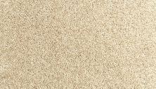 Portico Everstrand Diversified II Coastal Sands BP30D-725