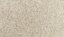 Portico Everstrand Diversified II Elk Beige BP30D-729
