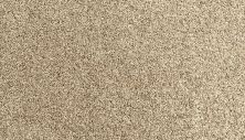 Portico Everstrand Diversified II Flax Seed BP30D-789