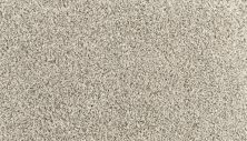Portico Everstrand Diversified II Silver Dollar BP30D-938