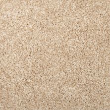 Portico Everstrand Charming Tones Warm Almond BP33C-725