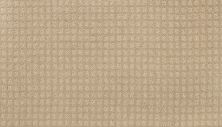 Portico Smartstrand Done Deal II Desert Sand BP40C-766