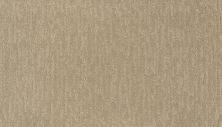 Portico Smartstrand Attention Getter II Desert Sand BP41C-766