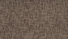 Portico Everstrand Enriched Texture II Fall Fields BP42C-855