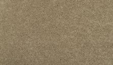 Portico Smartstrand Lavish Tones II Windsong BP45C-756