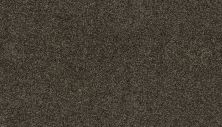 Portico Smartstrand Lavish Tones II Spellbound BP45C-978