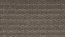 Portico Smartstrand Morgan Mill Shadow Taupe BP47A-503