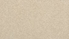 Portico Everstrand Seismic Bleached Almond BP54C-728