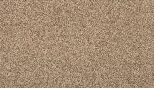 Portico Everstrand Seismic Flax Seed BP54C-789