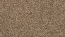 Portico Everstrand Rejuvenate Flax Seed BP55C-789