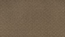 Portico Smartstrand Modern Flair Ancestral Haze BP57A-799