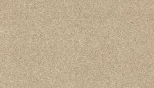 Portico Smartstrand Silk Classic Retreat II Salt Lake BP65C-745