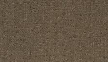 Portico Smartstrand Silk Gentle Escape Weathered Plank BP69B-0837