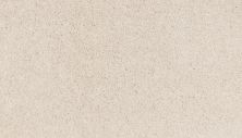 Portico Smartstrand Neutral Base Plus Vanilla BP76C-701