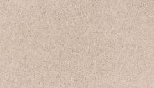 Portico Smartstrand Neutral Base Plus Celebration BP76C-731