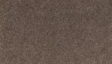 Portico Smartstrand Neutral Base Plus Husk BP76C-876