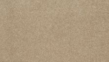 Portico Everstrand Detailed Memoriesiii Muted Caramel BP81C-739