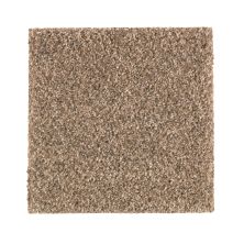 Portico Smartstrand Rockport Shores Autumn Brown BP85A-572