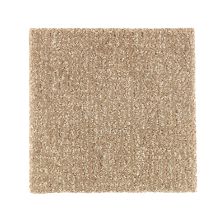 Portico Smartstrand Silk Hanover Falls Spiced Tea BP89A-515