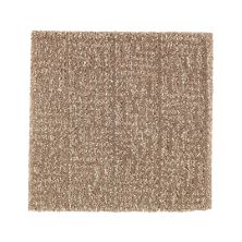 Portico Smartstrand Silk Hanover Falls Rich Earth BP89A-516