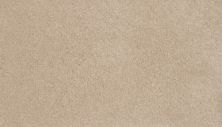 Portico Smartstrand Dodd Way Champagne Beige BP96C-739