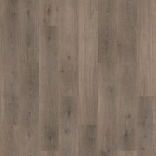 Mohawk Revwood Plus Hampton Lake Cloudy Oak CAD05-958