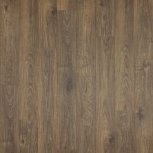 Mohawk Revwood Plus Casita Terrace Cottonwood Oak CDL43-03