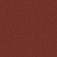 Mohawk Group Colorbeat Tile Sundried Tomato CLRBMT2424