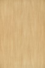 IVC Curated Space Sesame DCS70-560