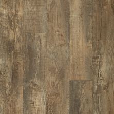 Mohawk Dodford 20 Dry Back Multi-Strip Griffin Oak DFD01-87