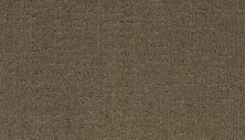 Godfrey Hirst Smartstrand Silk Modern Passage Weathered Plank G2148-837