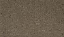 Godfrey Hirst Smartstrand Silk Exquisite Reputation Weathered Plank G2154-837