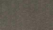 Godfrey Hirst Smartstrand Silk Exquisite Reputation Dried Peat G2154-967