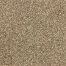 Godfrey Hirst Smartstrand Industrial Tones Timberline G2157-0828