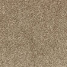 Godfrey Hirst Smartstrand Industrial Tones Canyon Shade G2157-0837