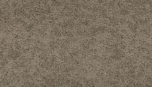 Godfrey Hirst Everlux Inspiring Selection Mountain Ash G2181-931
