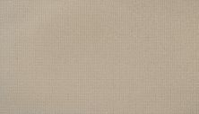 Godfrey Hirst Smartstrand Enduring Statement Radiance G2193-718