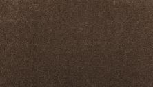 Godfrey Hirst Smartstrand Silk Luxurious Hues Espresso G2208-0870