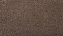 Godfrey Hirst Smartstrand Silk Luxurious Hues Lush Suede G2208-0872