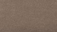 Godfrey Hirst Smartstrand Silk Luxurious Hues Martini G2208-842