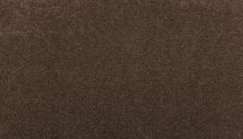 Godfrey Hirst Smartstrand Silk Luxurious Hues Espresso G2208-870