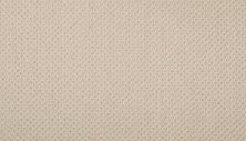 Godfrey Hirst Smartstrand Simply Elemental Walked Path G2211-755