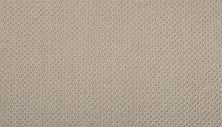 Godfrey Hirst Smartstrand Simply Elemental Ash Creek G2211-849