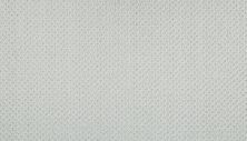 Godfrey Hirst Smartstrand Simply Elemental Arctic G2211-909