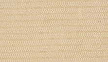 Godfrey Hirst Smartstrand Aftereffects Radiance G2216-0111