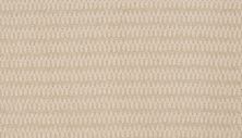 Godfrey Hirst Smartstrand Aftereffects Navajo G2216-0801