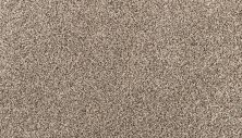 Godfrey Hirst Smartstrand Silk Candor Artful G2217-737