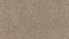 Godfrey Hirst Smartstrand Novel Flair Acacia G2218-740