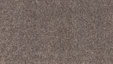 Godfrey Hirst Smartstrand Novel Flair Curio G2218-860