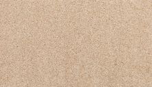 Godfrey Hirst Smartstrand Apollo Bay Fisk G2231-0741